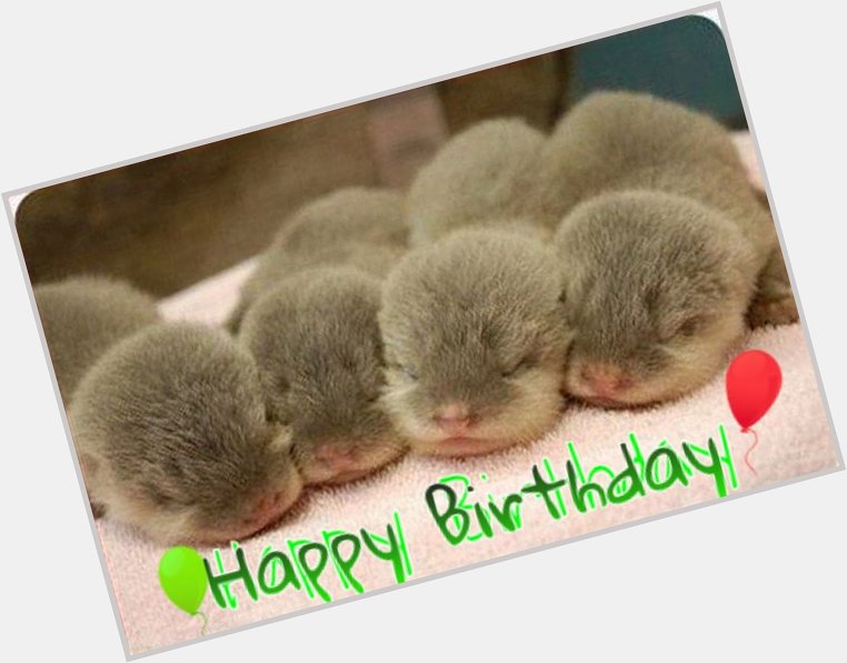 Happy Birthday to Tara Palmer Tomkinson-Karine Powart-Carla Smillie-Trisha Goddard -Dave Murry-Grace Knight   