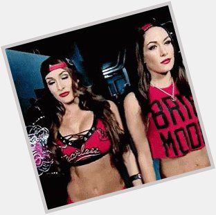 Happy Birthday to The Bella Twins Nikki and Brie   