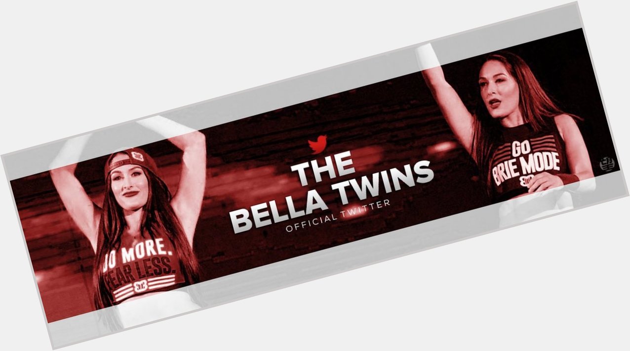 Ayyy Happy Birthday to the Bella Twins  