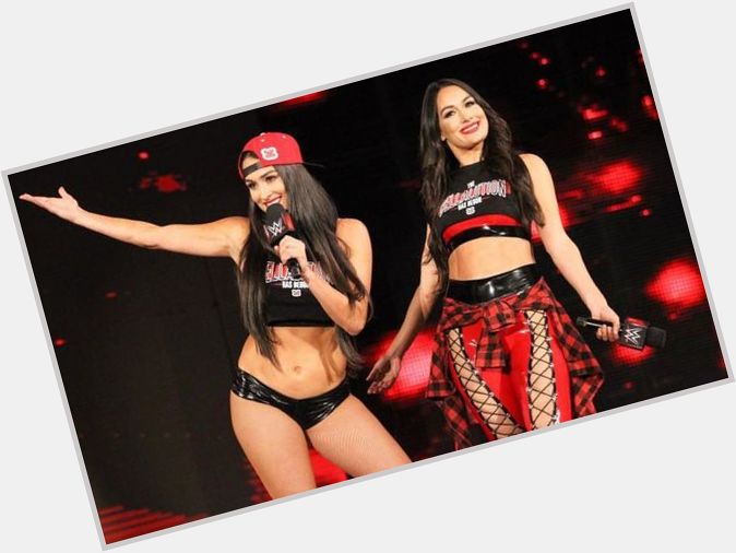  The Bella Twins.
Each of the Bella Twins are a former WWE Divas Champion.  