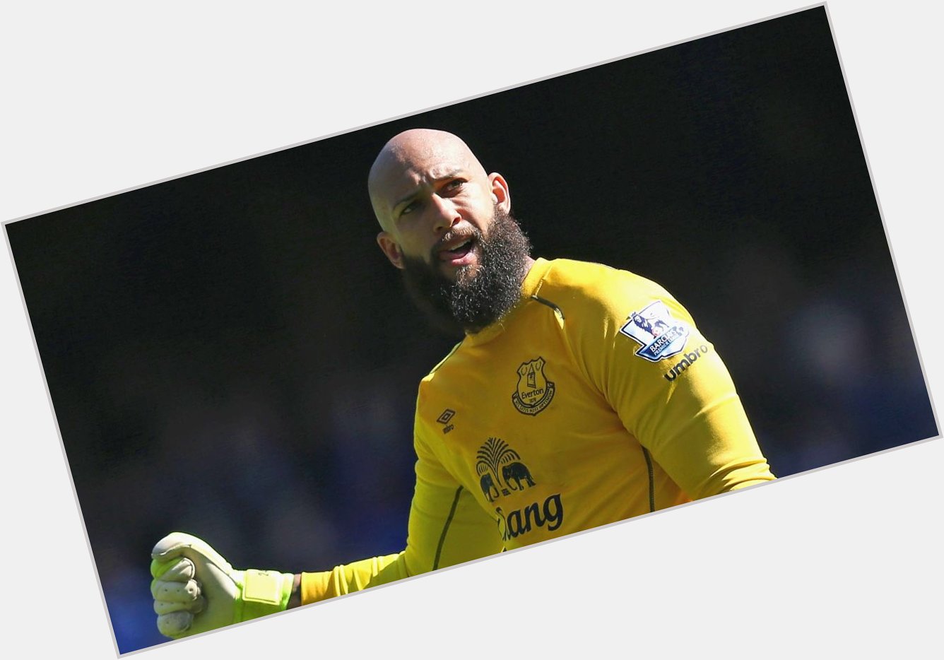 Happy Birthday Tim Howard  399 PL Appearances 992 Saves  132 Clean Sheets  1 Goal 