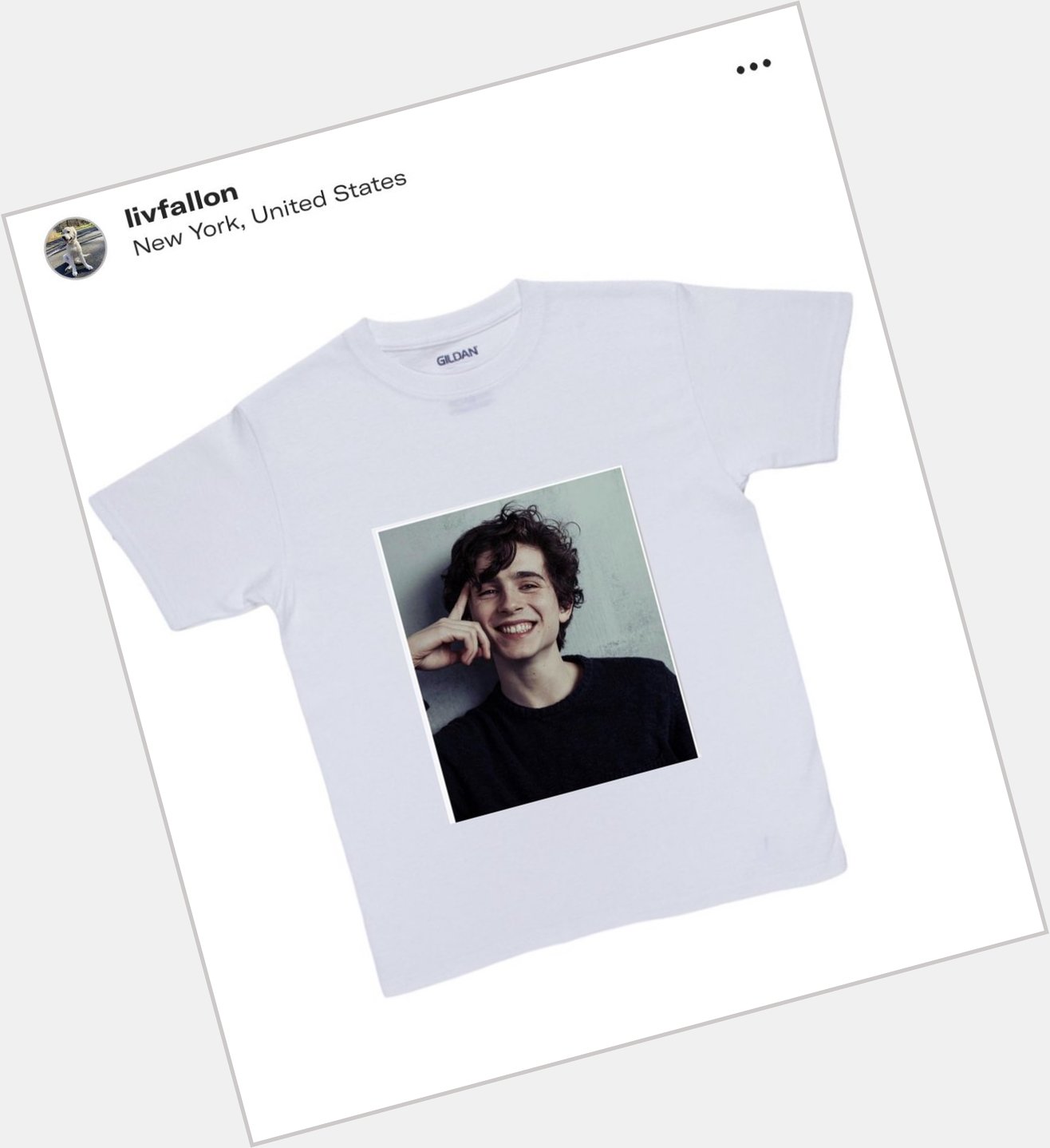 Happy bday timothée chalamet I just bought myself these tshirts to celebrate 