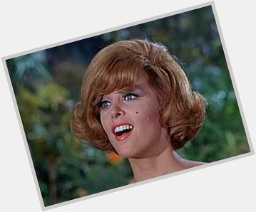 Happy Birthday, Tina Louise! 