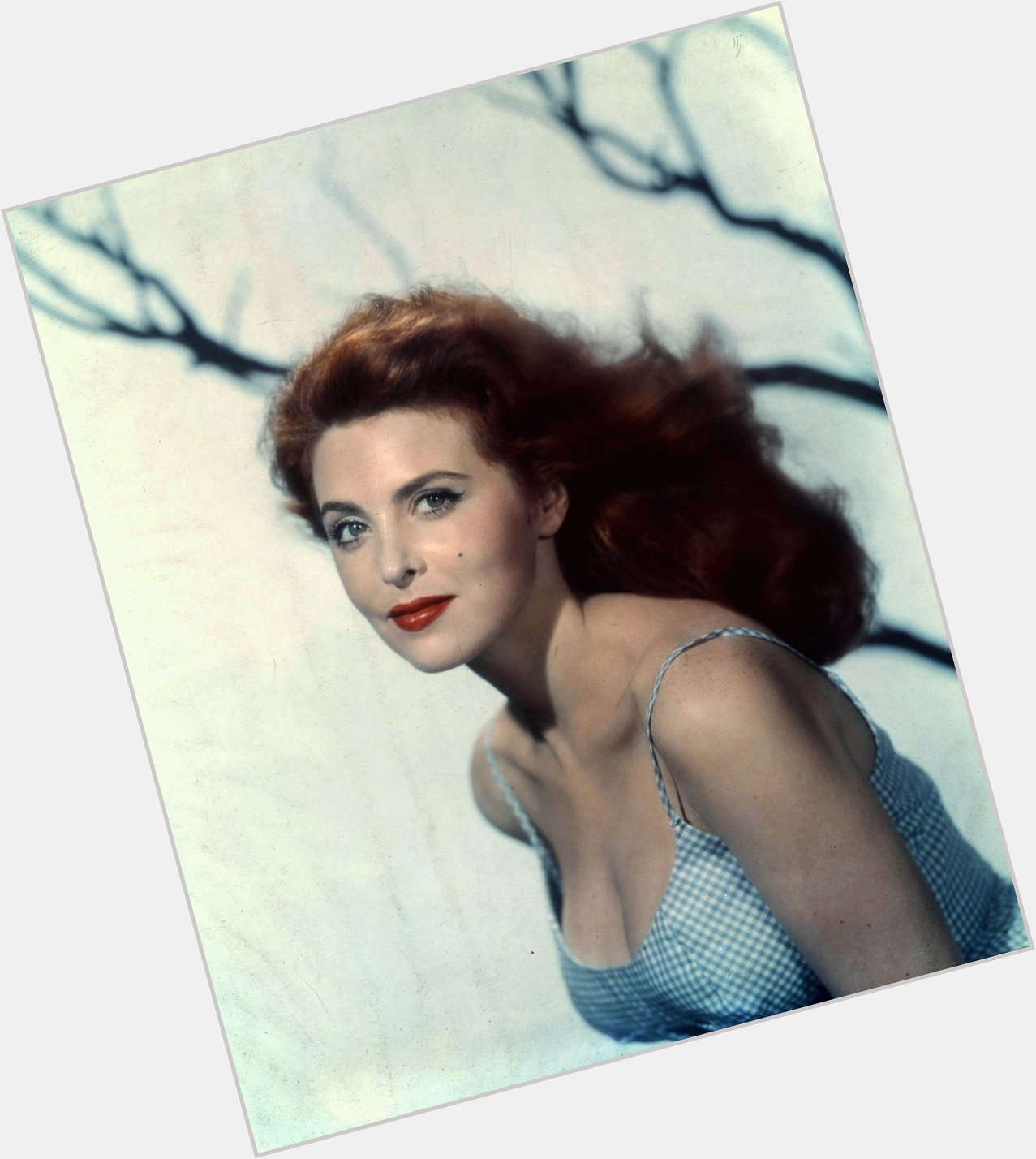 Happy birthday Tina Louise, 83 today: God\s Little Acre, The Trap; busier in TV - Gilligan\s Island 
