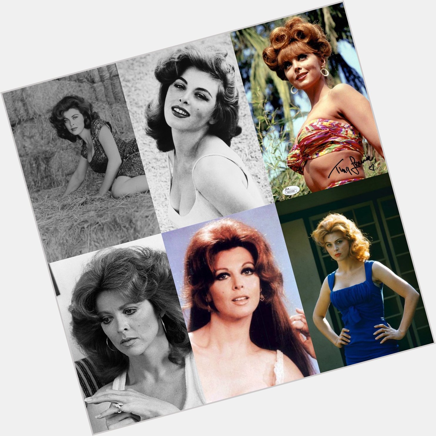 Happy 87 birthday to Tina Louise. Hope that she has a wonderful birthday.         