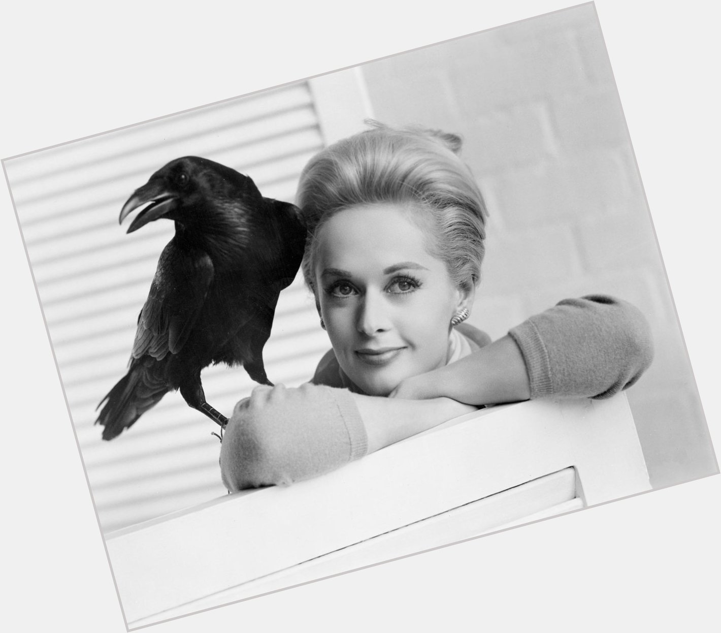 Happy Birthday, Tippi, 85 years young! Tippi Hedren: Animal Attraction  