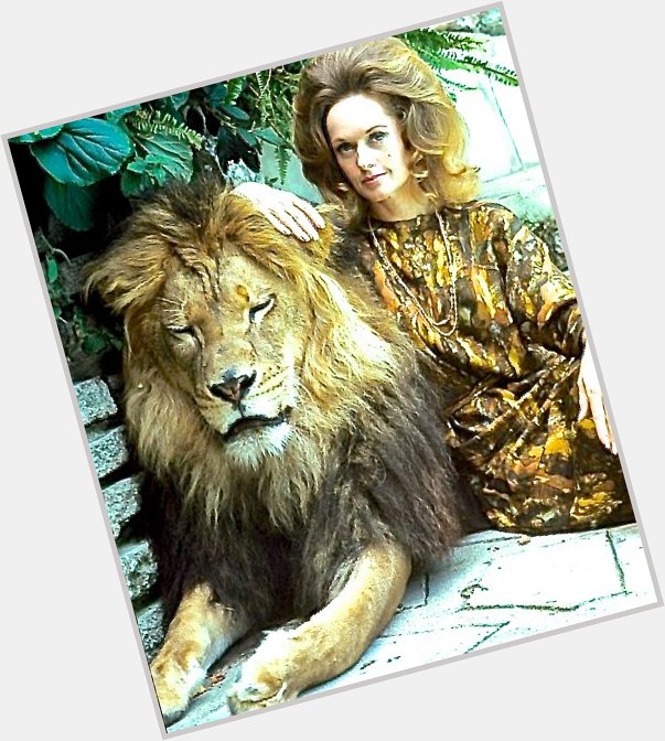 Happy 87th Birthday to Tippi Hedren - in the 70s, she owned a pet lion named Neil ...that\s kinda gangsta! 