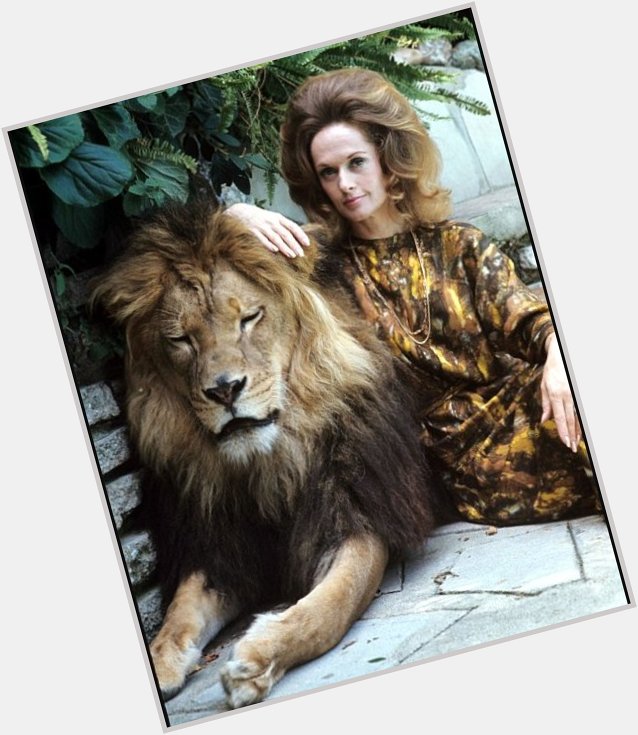 Happy birthday to Tippi Hedren (the embodiment of the Tarot card Strength). 