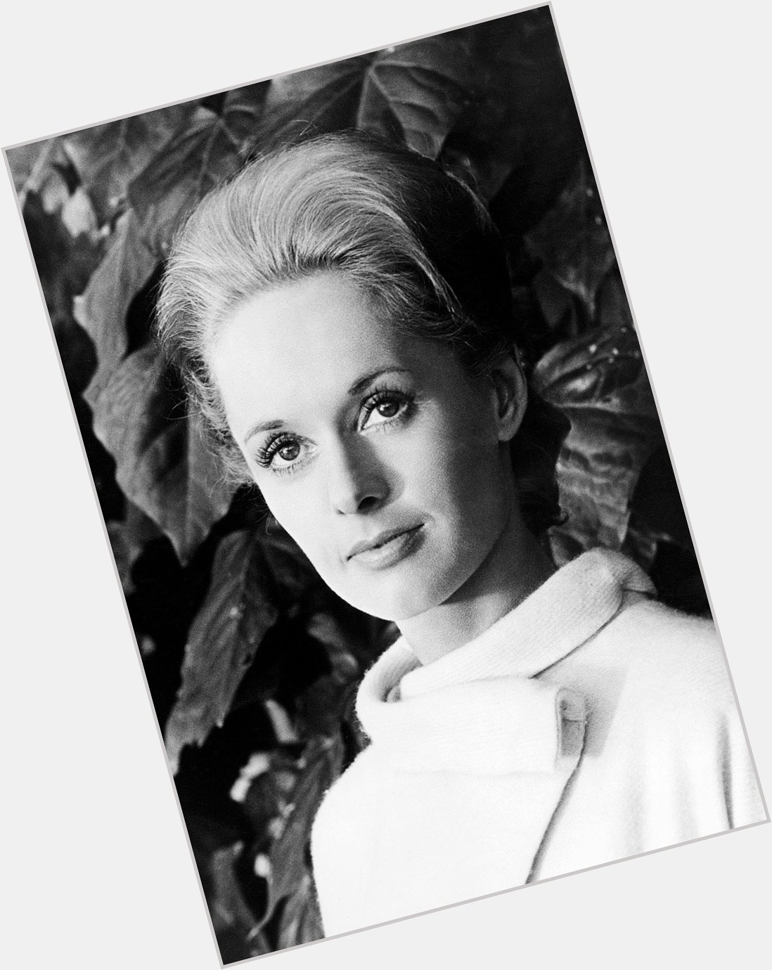 Happy 92nd birthday Tippi Hedren. 1 of my favourite actresses. I love her in The Birds     