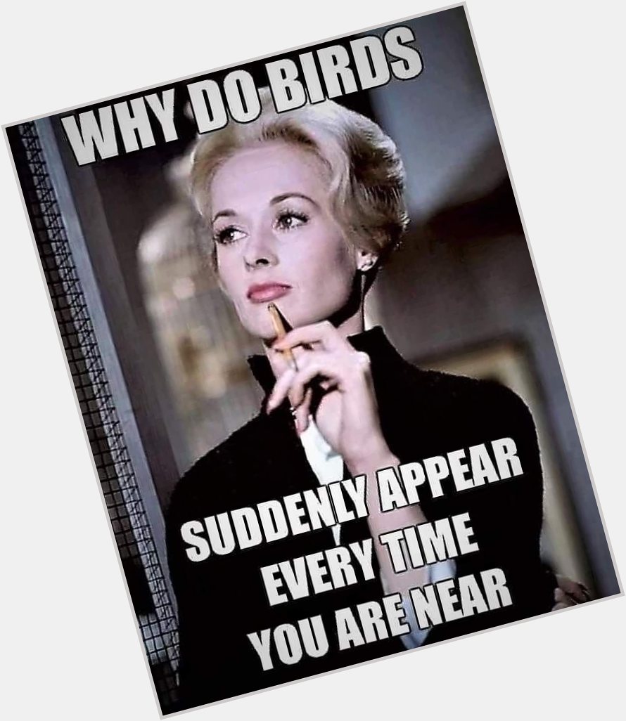 Two references that some will get and some won t. And happy 92nd birthday to Tippi Hedren. 