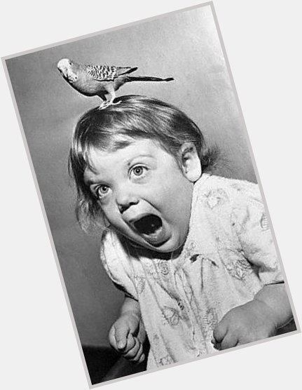 Happy Birthday Tippi Hedren, seen here in the early years. 