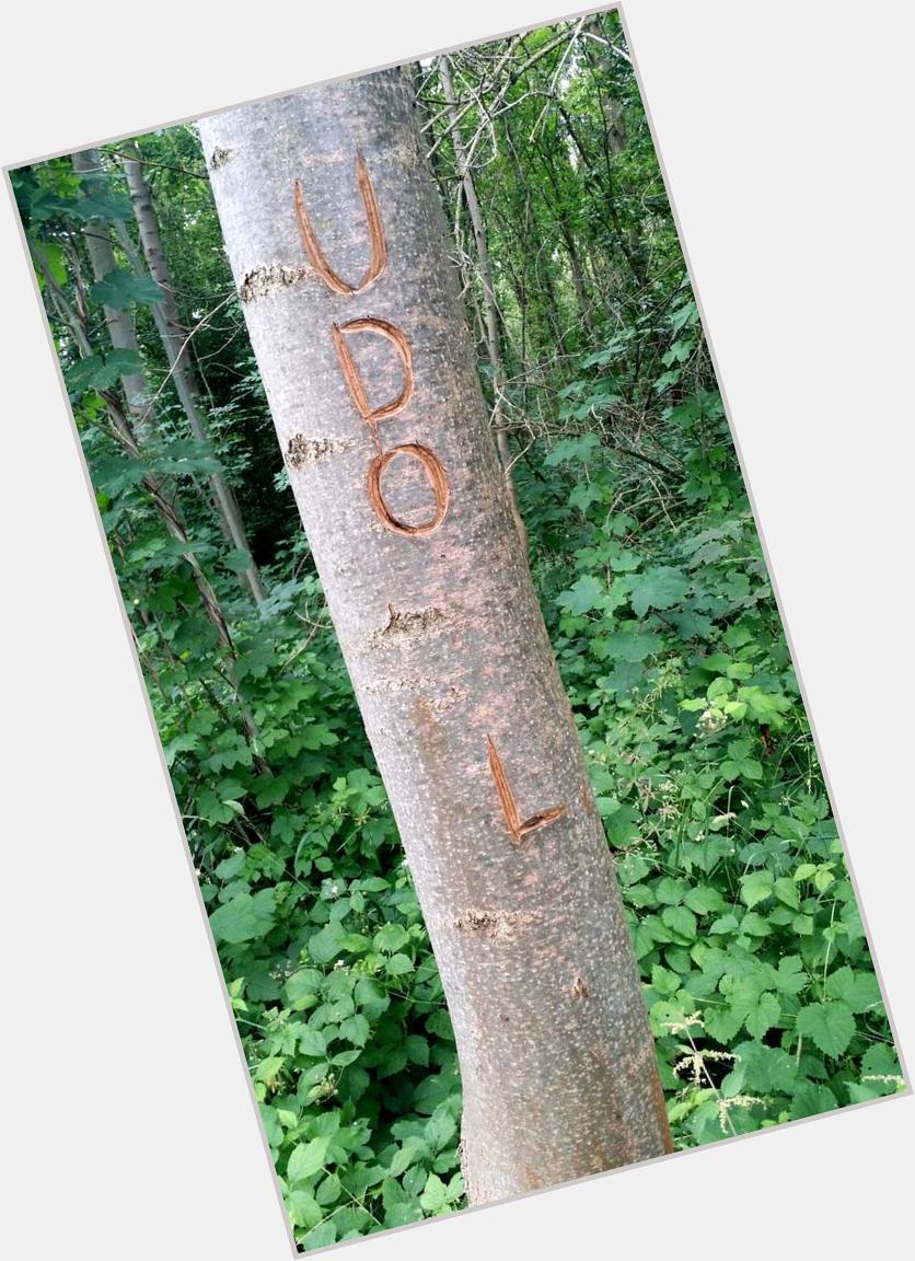 Vor langer Zeit von einem Udo Lindenberg Fan in den Baum geritzt. Entdeckt im Schwanseer Forst. Happy Birthday Udo L. 