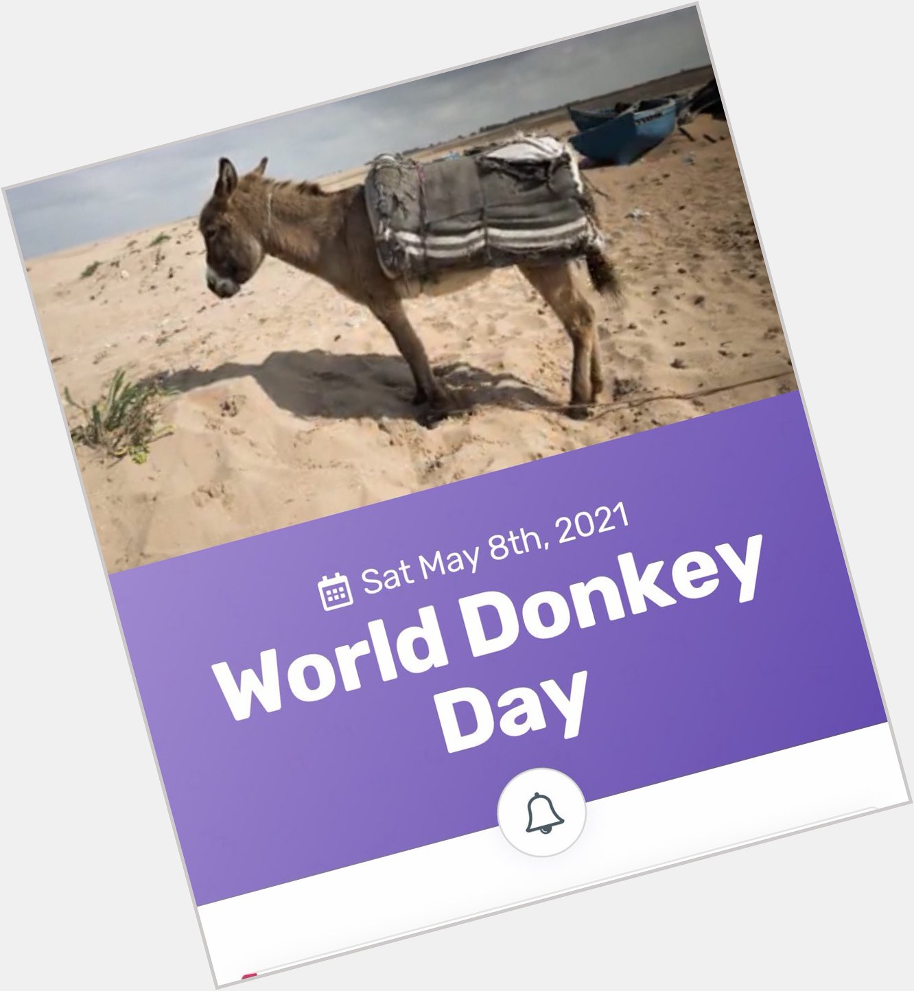    And it s world donkey day... so happy birthday to the wee donkey as well 