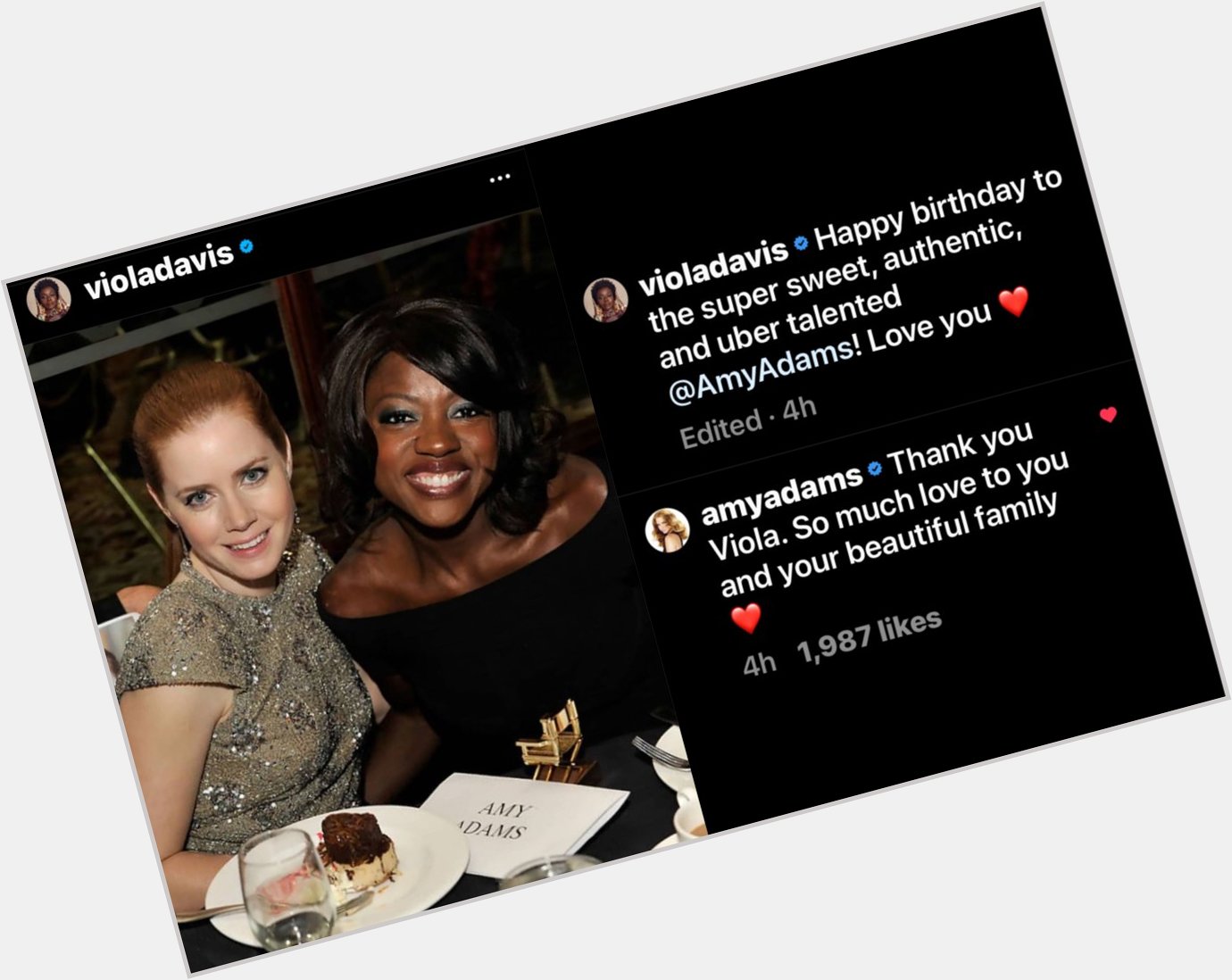 Viola Davis wishing Amy Adams happy birthday is so precious! I love our DCEU queens!  