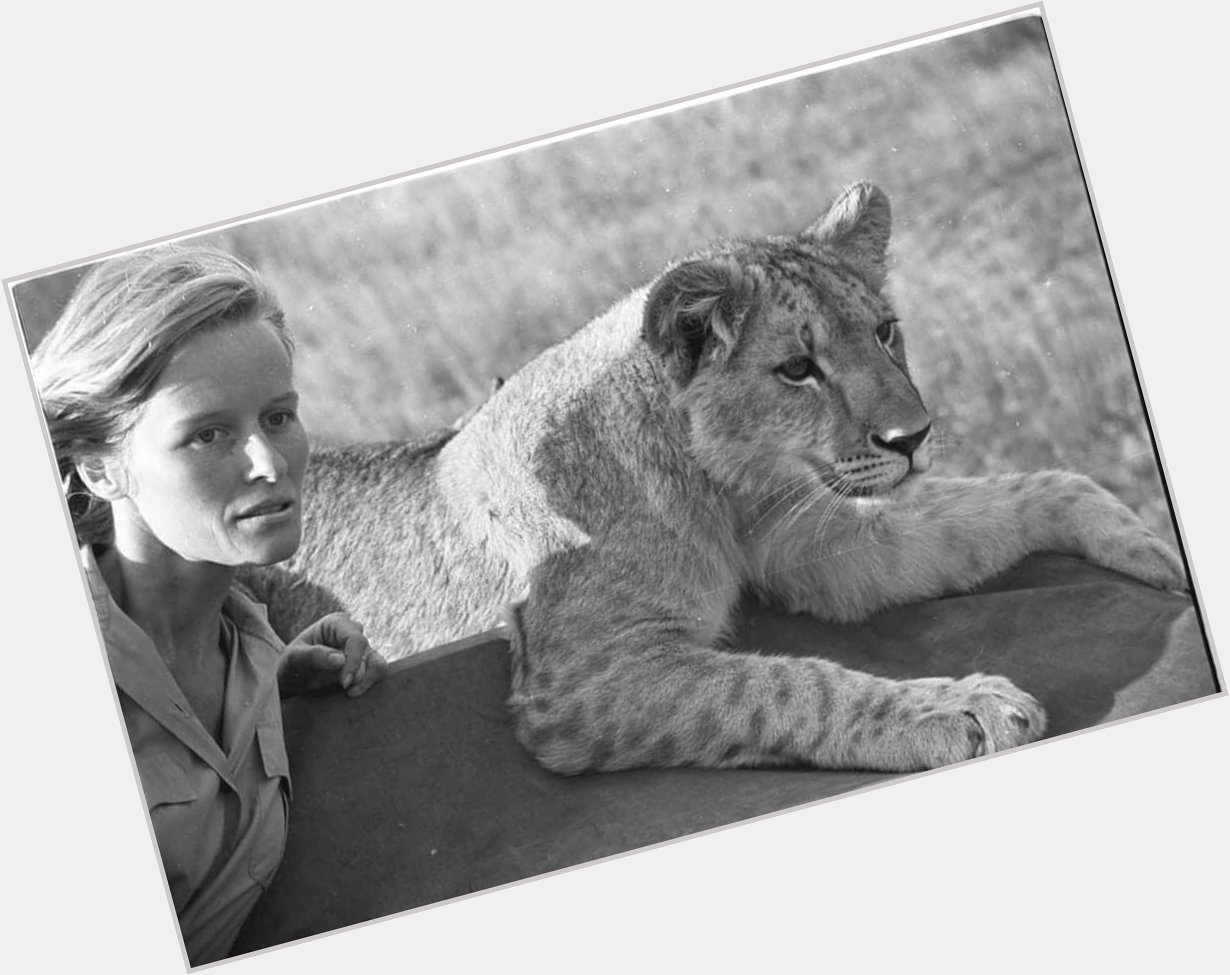 Happy 90th Birthday to the beautiful Wildlife Angel Virginia McKenna    xxx 