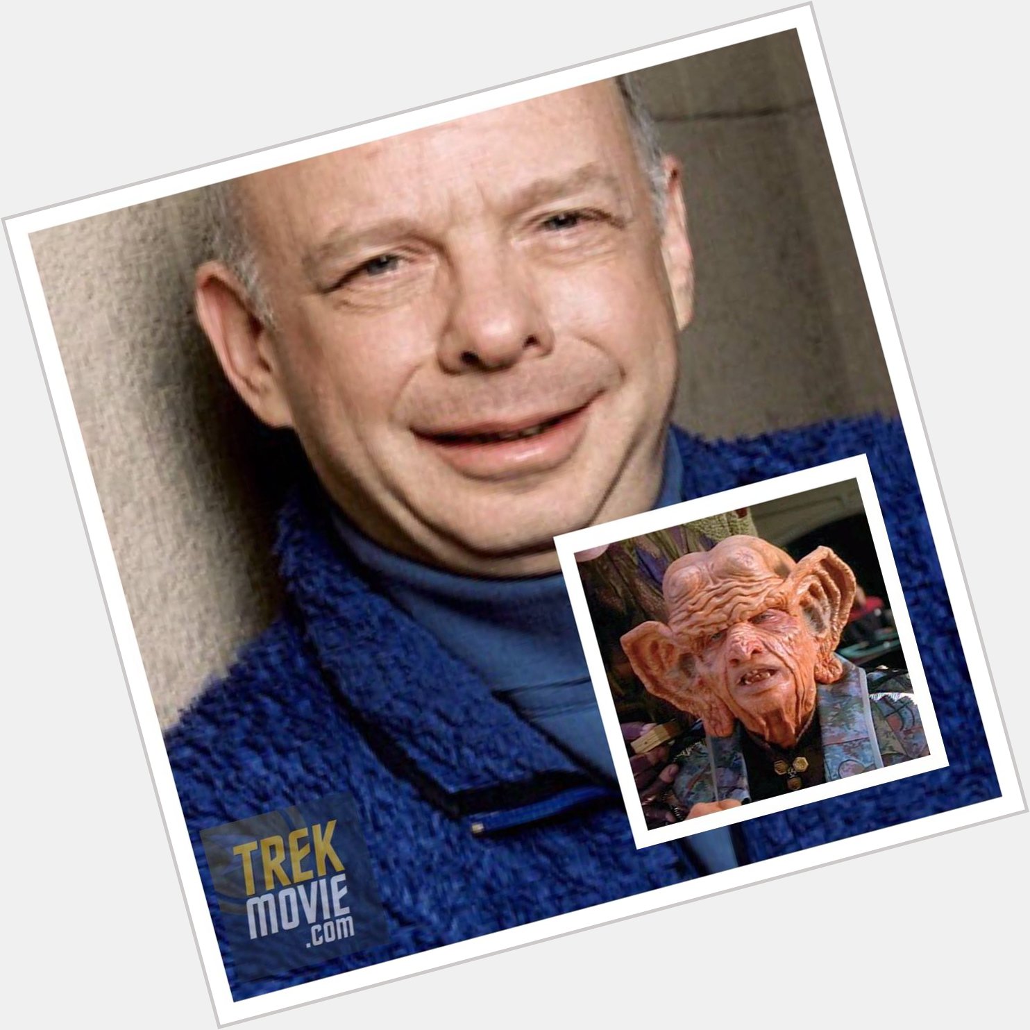 It\s incontheivable that Wallace Shawn is a year older! Happy birthday! 