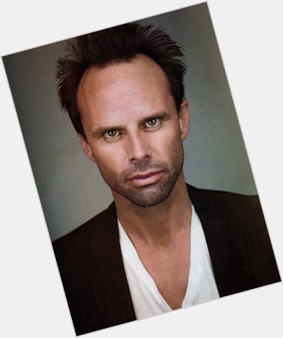 Happy birthday Walton Goggins, probably my favourite forehead in the business. 