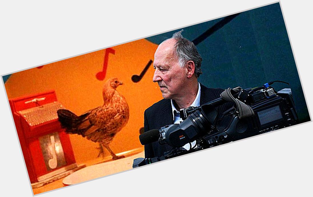 Today is Werner Herzog\s birthday, so here\s a clip where he talks about stupid chickens
 