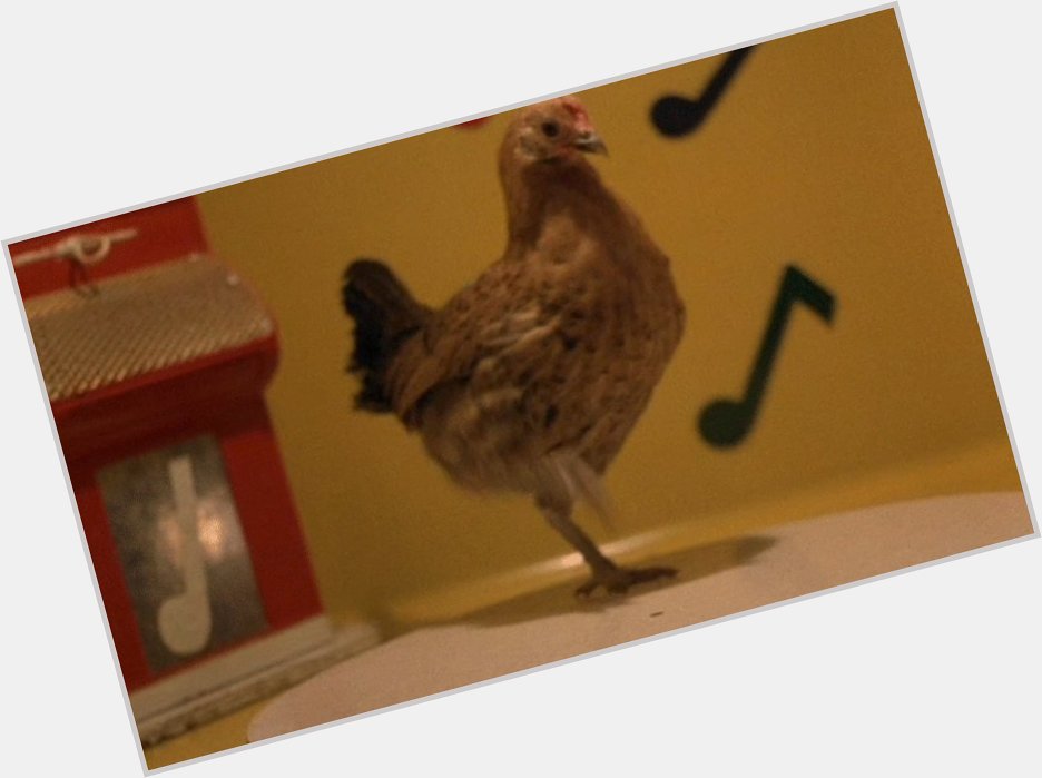 Remember:
No one can stop the dancing chicken.

Happy birthday, Werner Herzog; years go by in waiting. 