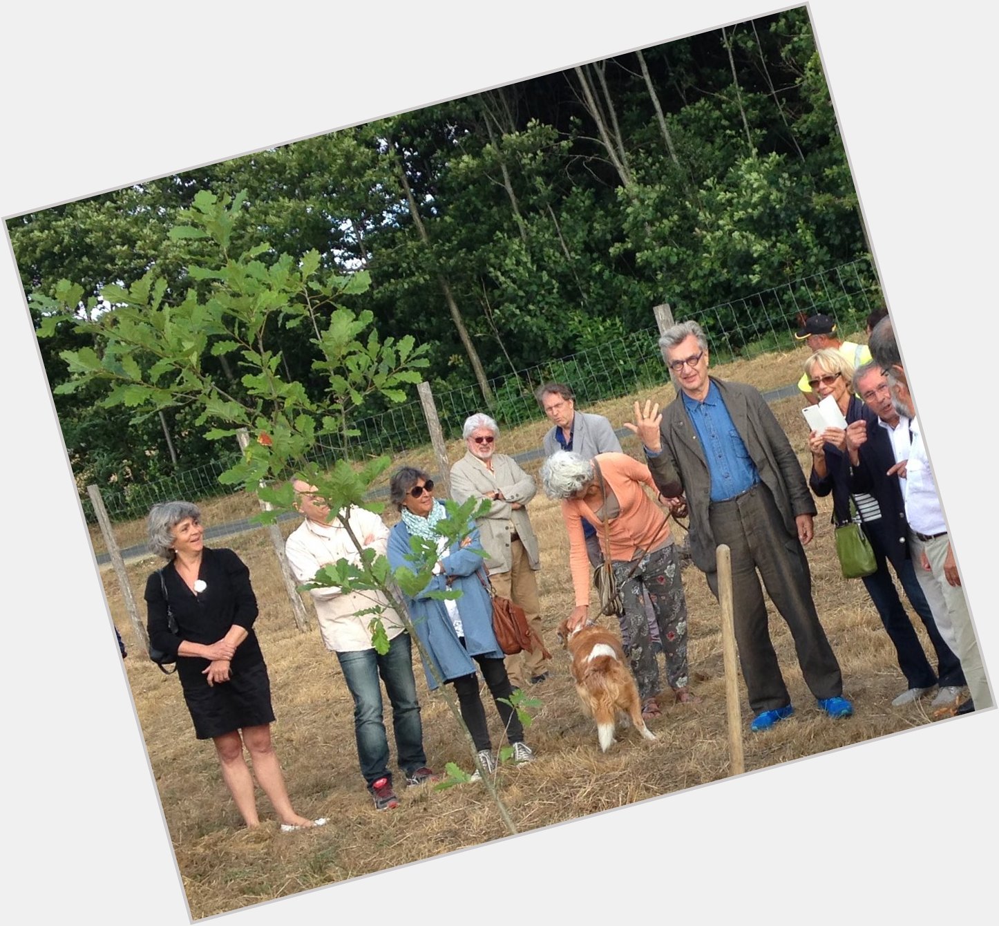 Arboretum, Saint-Yrieix-la-Perche, France, July 2015 Belated Happy Birthday Wim Wenders 14 August 