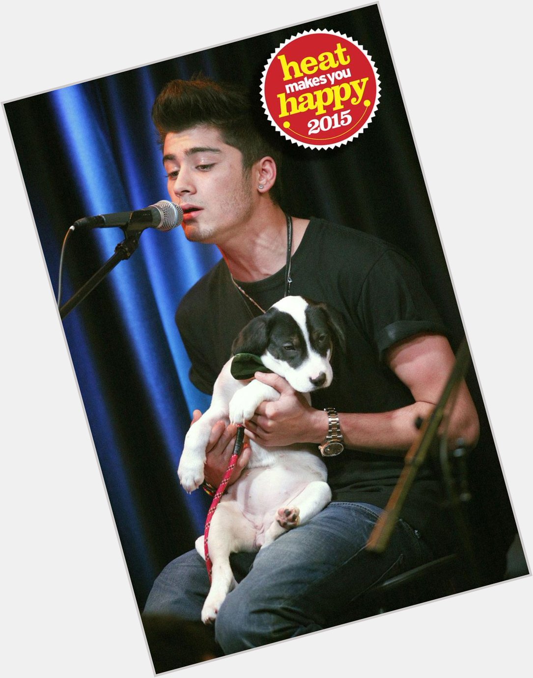 Pics of 1D\s Zayn with puppies, kittens & babies to celebrate his birthday! 